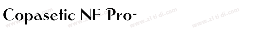 Copasetic NF Pro字体转换